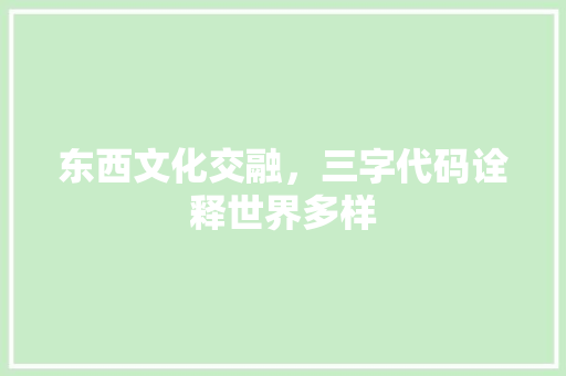 东西文化交融，三字代码诠释世界多样