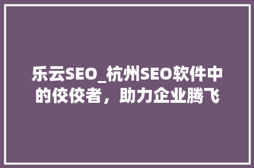 乐云SEO_杭州SEO软件中的佼佼者，助力企业腾飞