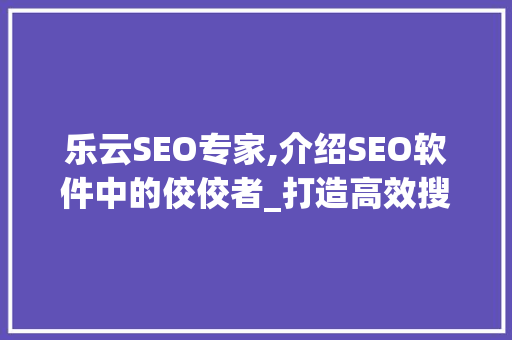 乐云SEO专家,介绍SEO软件中的佼佼者_打造高效搜索引擎优化步骤