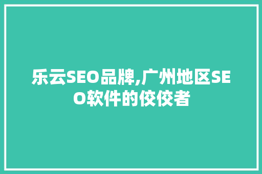 乐云SEO品牌,广州地区SEO软件的佼佼者