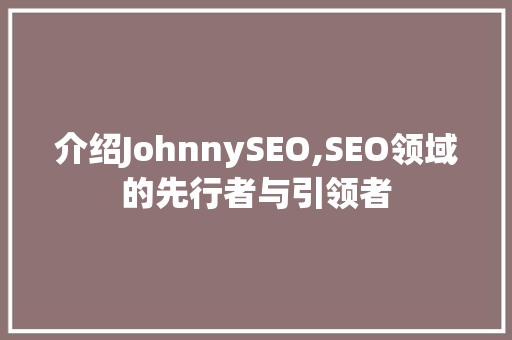 介绍JohnnySEO,SEO领域的先行者与引领者
