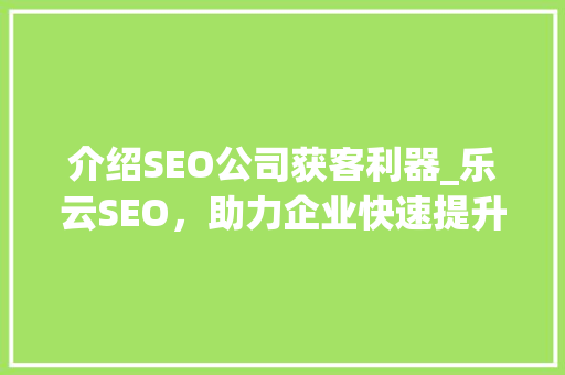 介绍SEO公司获客利器_乐云SEO，助力企业快速提升流量与转化