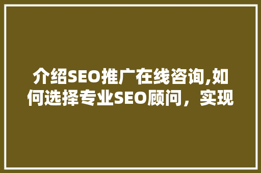 介绍SEO推广在线咨询,如何选择专业SEO顾问，实现网站流量翻倍