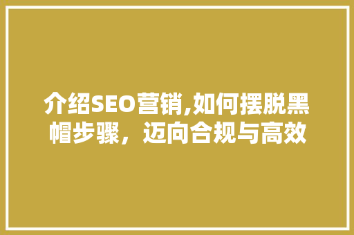 介绍SEO营销,如何摆脱黑帽步骤，迈向合规与高效