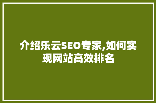 介绍乐云SEO专家,如何实现网站高效排名