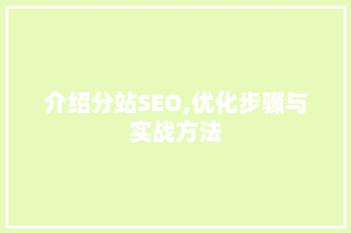 介绍分站SEO,优化步骤与实战方法