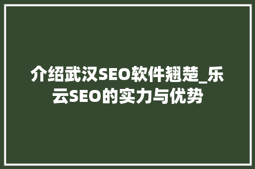 介绍武汉SEO软件翘楚_乐云SEO的实力与优势
