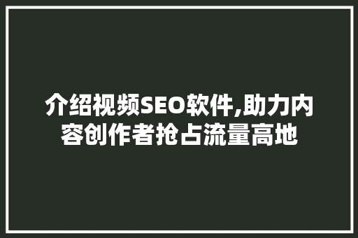 介绍视频SEO软件,助力内容创作者抢占流量高地