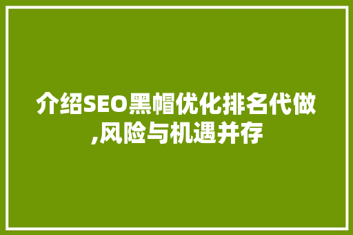 介绍SEO黑帽优化排名代做,风险与机遇并存