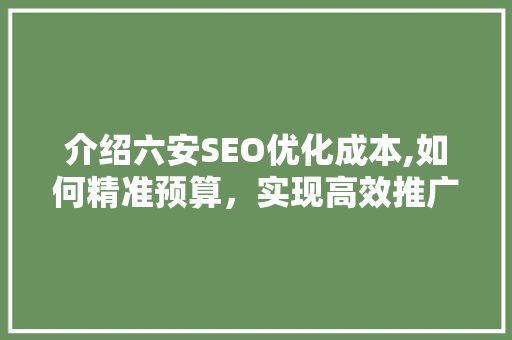介绍六安SEO优化成本,如何精准预算，实现高效推广  第1张