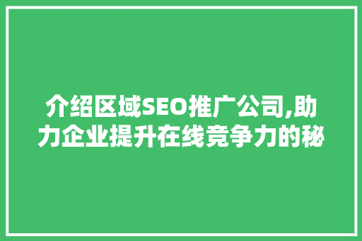 介绍区域SEO推广公司,助力企业提升在线竞争力的秘密武器