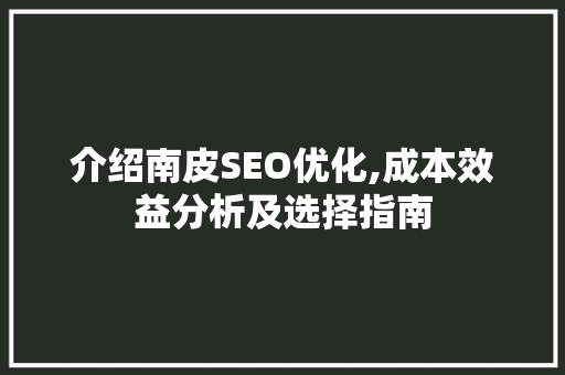 介绍南皮SEO优化,成本效益分析及选择指南