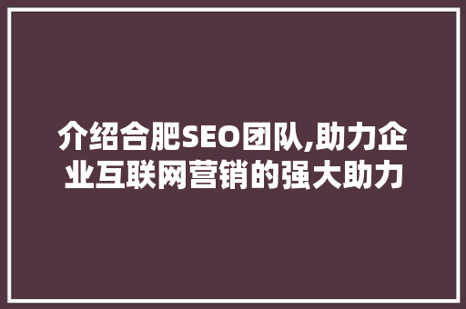 介绍合肥SEO团队,助力企业互联网营销的强大助力