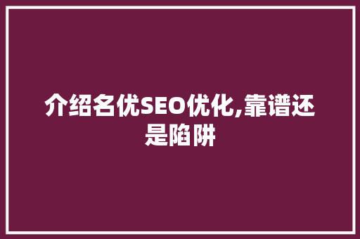 介绍名优SEO优化,靠谱还是陷阱