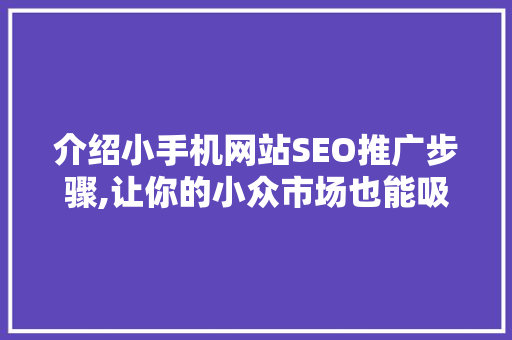 介绍小手机网站SEO推广步骤,让你的小众市场也能吸引海量流量