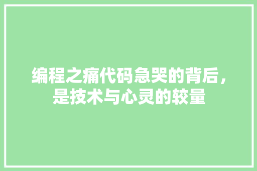 编程之痛代码急哭的背后，是技术与心灵的较量