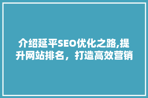 介绍延平SEO优化之路,提升网站排名，打造高效营销步骤