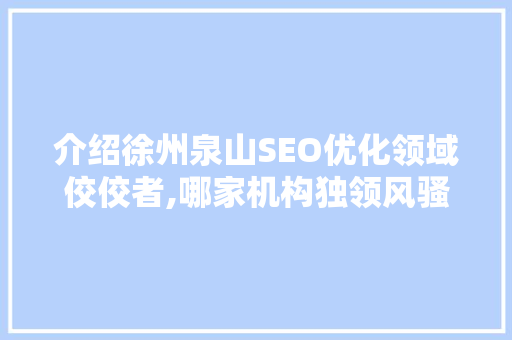 介绍徐州泉山SEO优化领域佼佼者,哪家机构独领风骚  第1张
