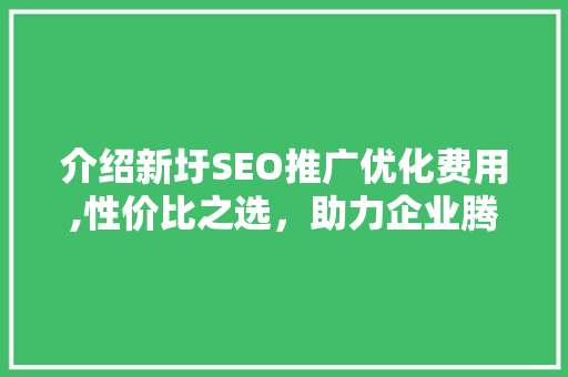介绍新圩SEO推广优化费用,性价比之选，助力企业腾飞