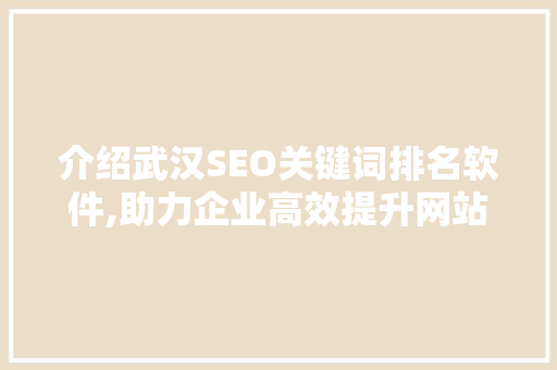 介绍武汉SEO关键词排名软件,助力企业高效提升网站流量与知名度