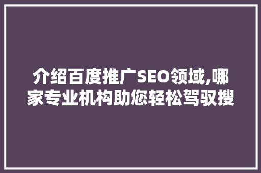 介绍百度推广SEO领域,哪家专业机构助您轻松驾驭搜索引擎营销