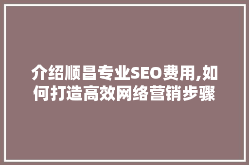 介绍顺昌专业SEO费用,如何打造高效网络营销步骤