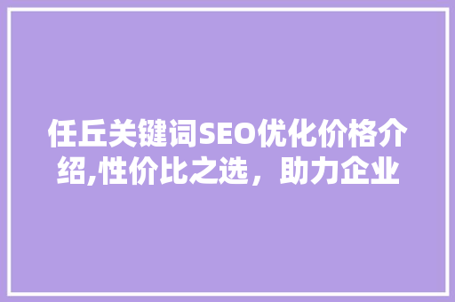任丘关键词SEO优化价格介绍,性价比之选，助力企业互联网腾飞