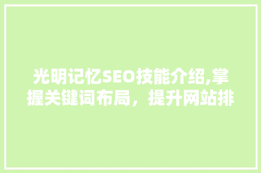 光明记忆SEO技能介绍,掌握关键词布局，提升网站排名