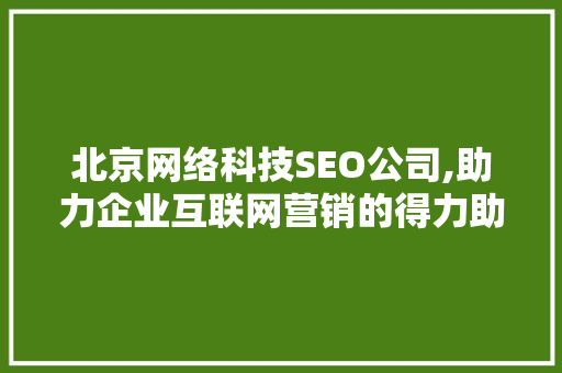 北京网络科技SEO公司,助力企业互联网营销的得力助手