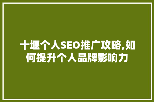 十堰个人SEO推广攻略,如何提升个人品牌影响力