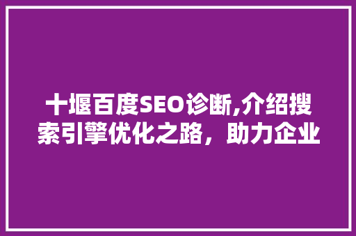 十堰百度SEO诊断,介绍搜索引擎优化之路，助力企业提升网络竞争力