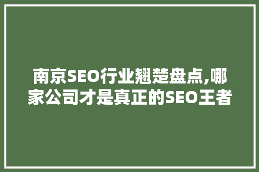 南京SEO行业翘楚盘点,哪家公司才是真正的SEO王者