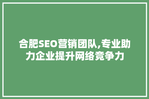 合肥SEO营销团队,专业助力企业提升网络竞争力
