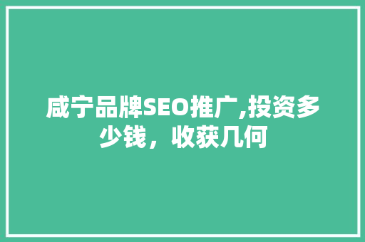 咸宁品牌SEO推广,投资多少钱，收获几何
