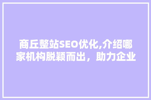 商丘整站SEO优化,介绍哪家机构脱颖而出，助力企业提升网络竞争力