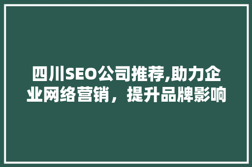 四川SEO公司推荐,助力企业网络营销，提升品牌影响力