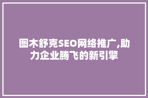 图木舒克SEO网络推广,助力企业腾飞的新引擎