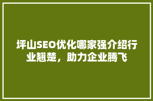 坪山SEO优化哪家强介绍行业翘楚，助力企业腾飞