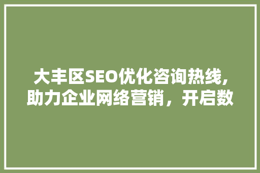 大丰区SEO优化咨询热线,助力企业网络营销，开启数字化增长新篇章