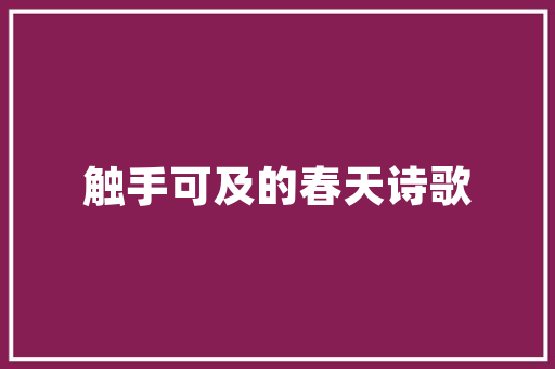天津SEO推广质量哪家强介绍本地优质SEO服务商  第1张