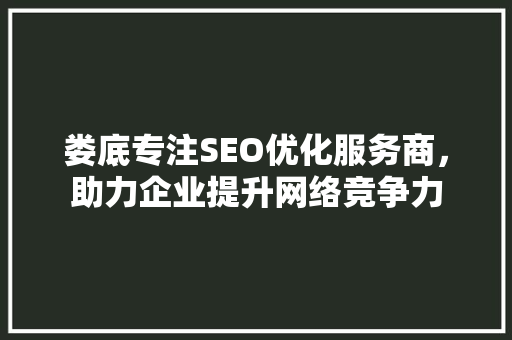 娄底专注SEO优化服务商，助力企业提升网络竞争力