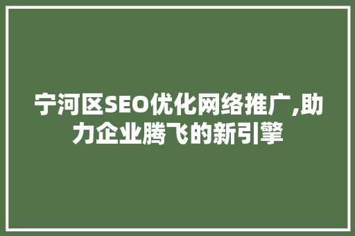 宁河区SEO优化网络推广,助力企业腾飞的新引擎
