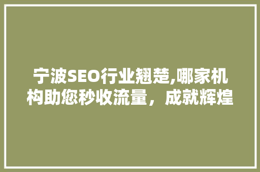 宁波SEO行业翘楚,哪家机构助您秒收流量，成就辉煌