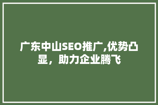 广东中山SEO推广,优势凸显，助力企业腾飞