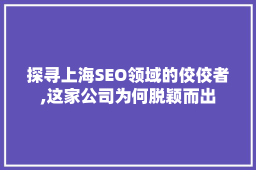探寻上海SEO领域的佼佼者,这家公司为何脱颖而出