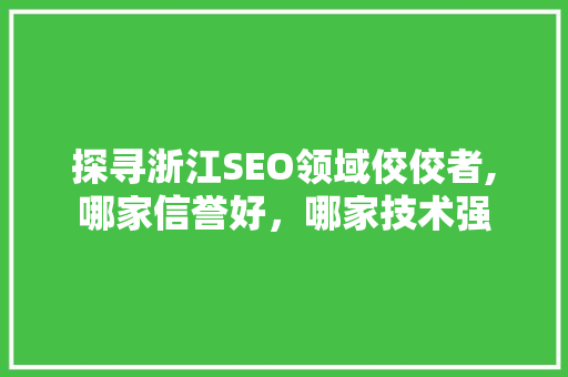 探寻浙江SEO领域佼佼者,哪家信誉好，哪家技术强