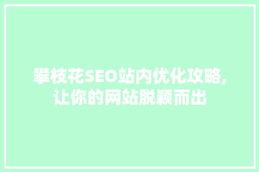 攀枝花SEO站内优化攻略,让你的网站脱颖而出