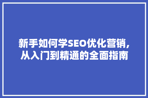 新手如何学SEO优化营销,从入门到精通的全面指南