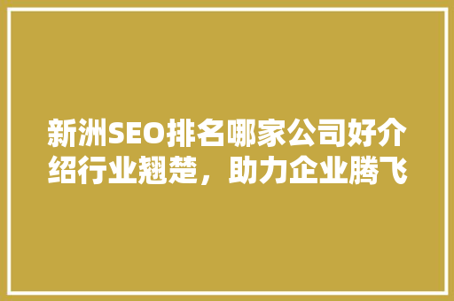 新洲SEO排名哪家公司好介绍行业翘楚，助力企业腾飞  第1张
