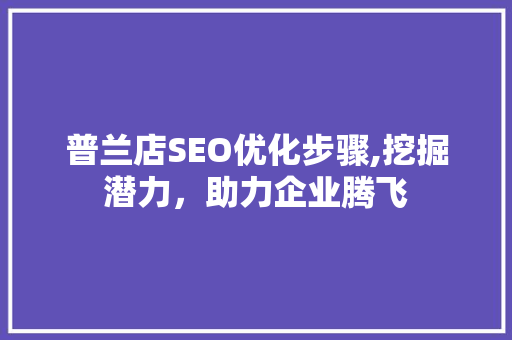 普兰店SEO优化步骤,挖掘潜力，助力企业腾飞